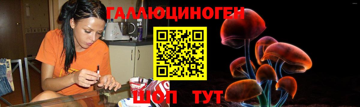 Галлюциногенные грибы MAGIC MUSHROOMS  Псилоцибиновые грибы Psilocybine cubensis  Дзержинский  Вход с VPN 